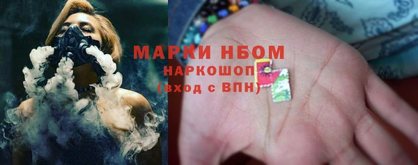 спайс Арсеньев