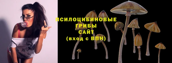 спайс Арсеньев